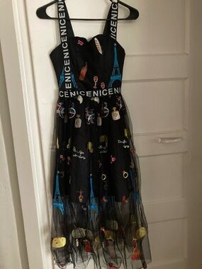 Gorgeous & Fun Black Tulle Dress with Blue Eiffel Motif